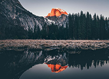 乐鱼中国：让海洋娱乐走进日常生活的创新平台